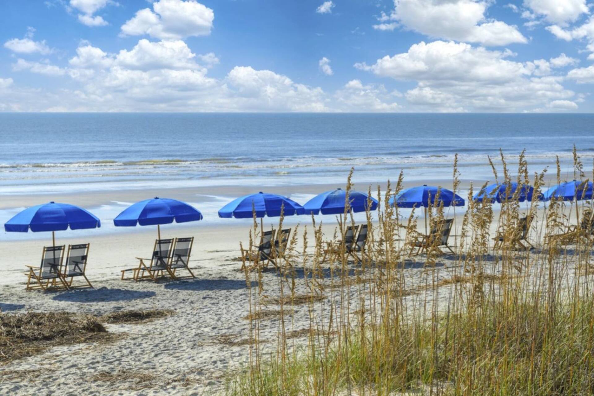Palmetto Dunes resort beach with umbrellas and chairs