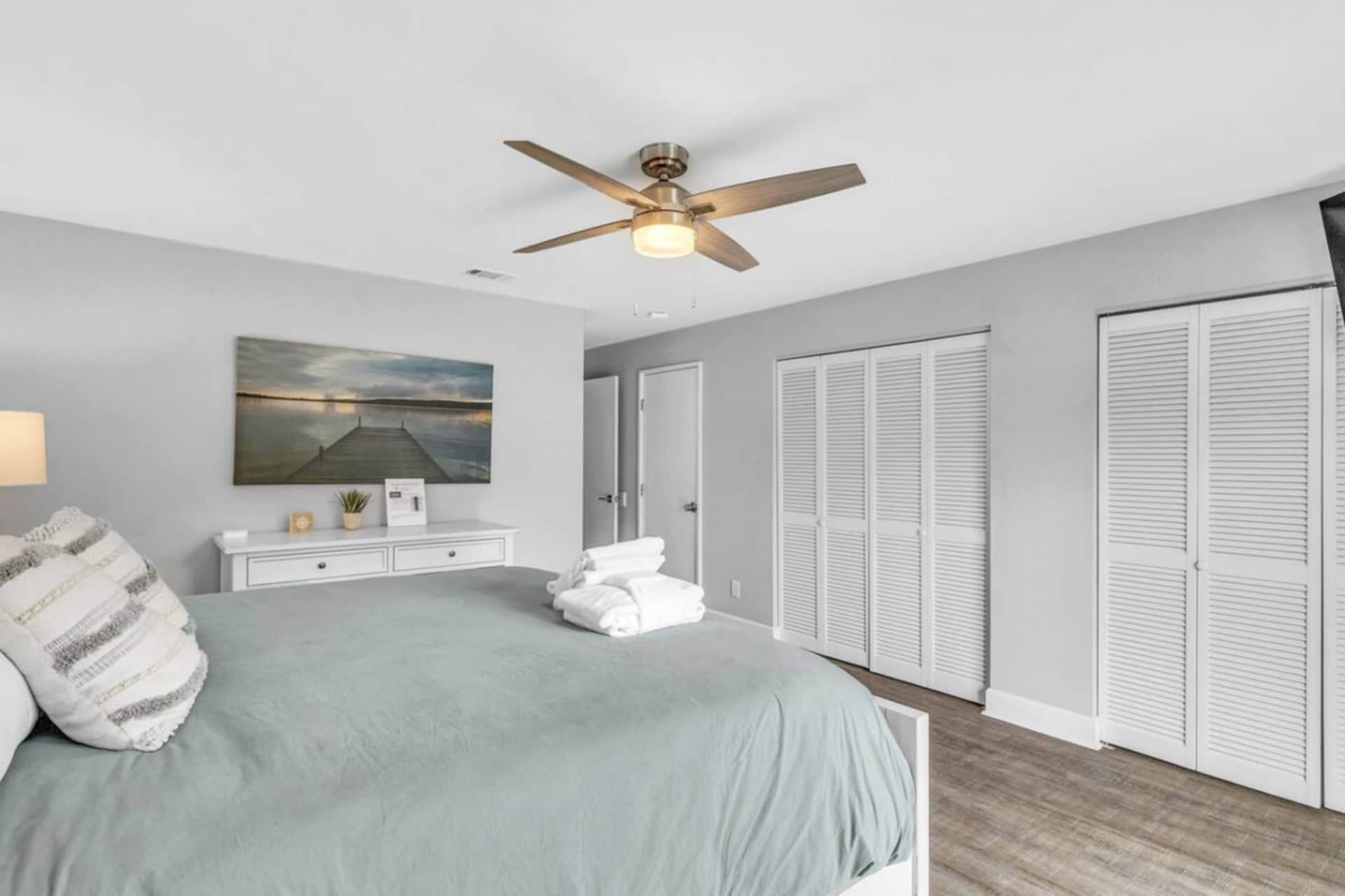 Primary bedroom with closet storage